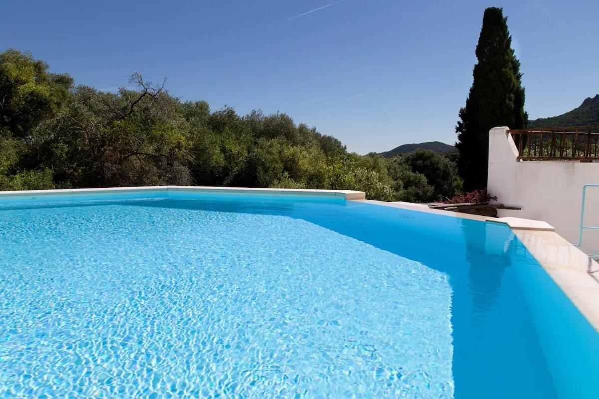 Appartamento Casa Il Gelsomino San Pantaleo *