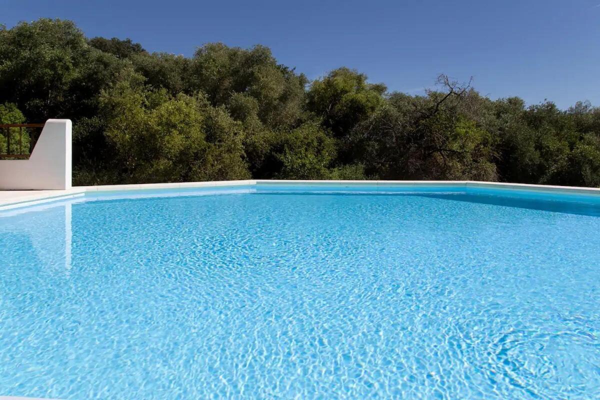 Casa Il Gelsomino San Pantaleo Appartamento Olbia